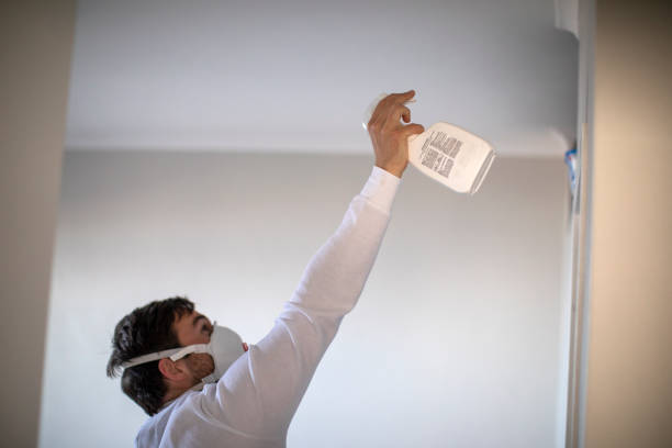Certified Mold Removal in Barron, WI