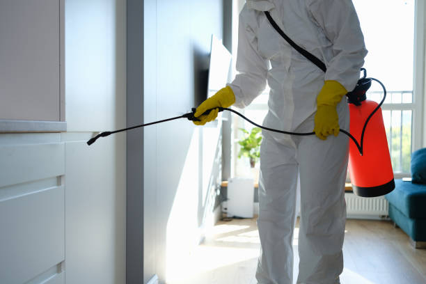 Best Toxic Mold Removal  in Barron, WI