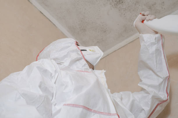 Best Office Mold Removal Services  in Barron, WI