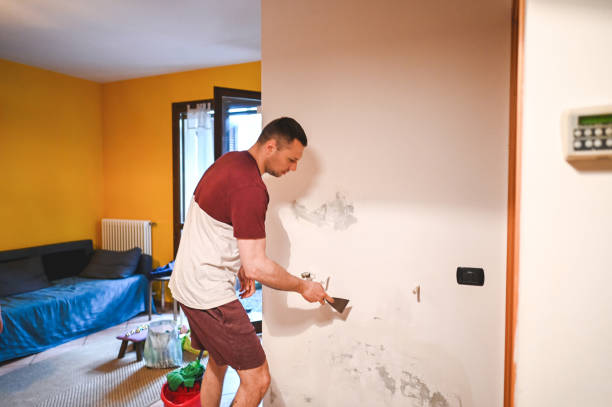 Best Mold Cleaning Services  in Barron, WI